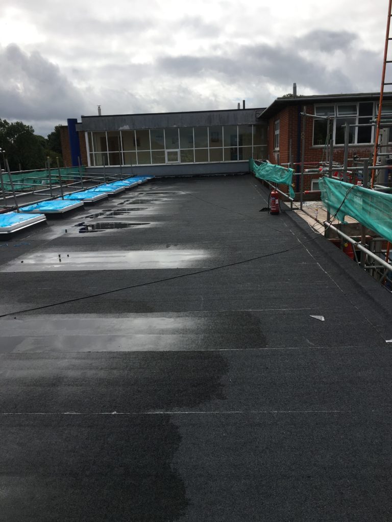 Flat roof area with edge protection and rooflights